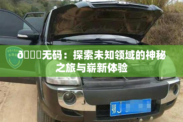 🔞无码：探索未知领域的神秘之旅与崭新体验