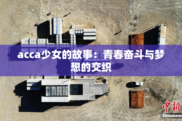 acca少女的故事：青春奋斗与梦想的交织