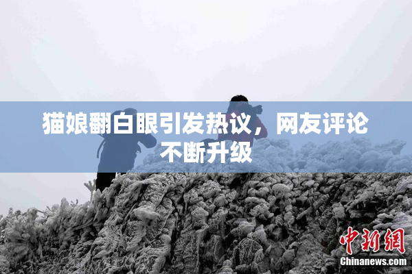 猫娘翻白眼引发热议，网友评论不断升级