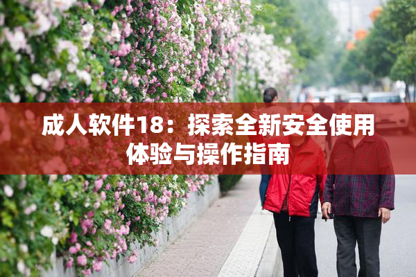 成人软件18：探索全新安全使用体验与操作指南