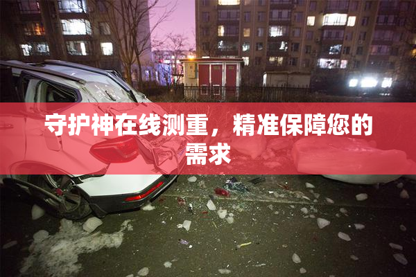 守护神在线测重，精准保障您的需求