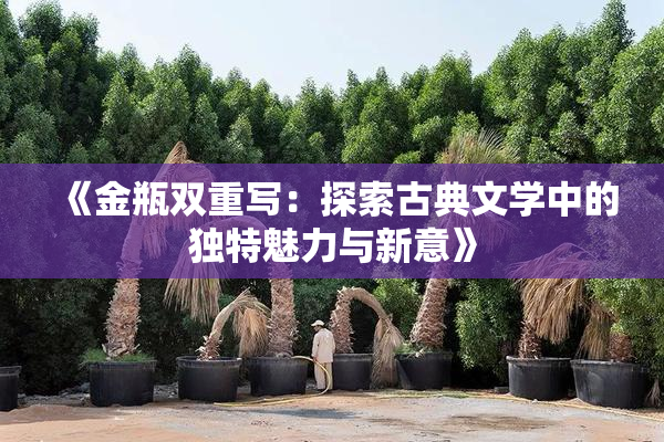 《金瓶双重写：探索古典文学中的独特魅力与新意》