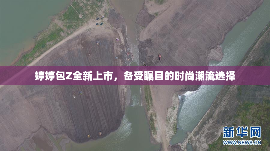 婷婷包Z全新上市，备受瞩目的时尚潮流选择