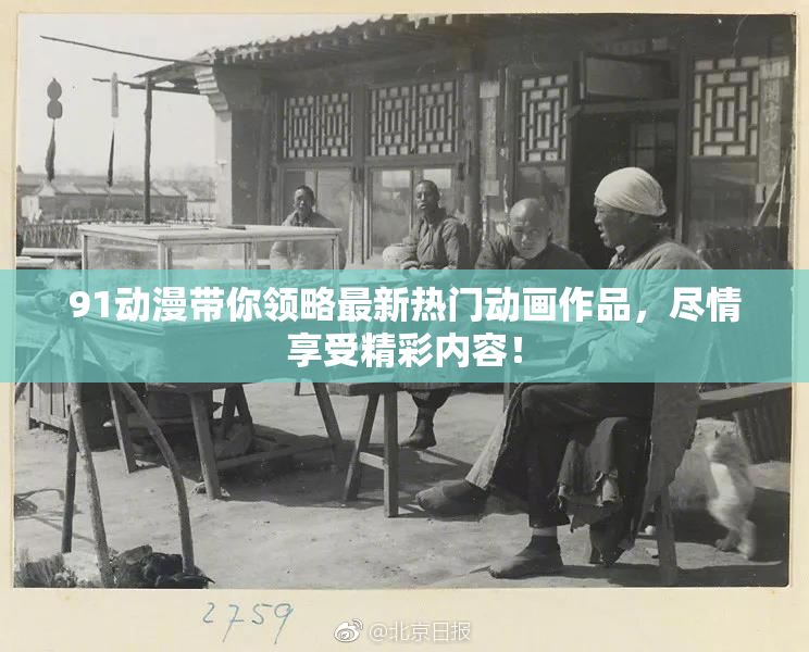 91动漫带你领略最新热门动画作品，尽情享受精彩内容！
