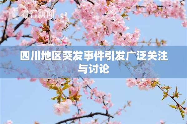 四川地区突发事件引发广泛关注与讨论