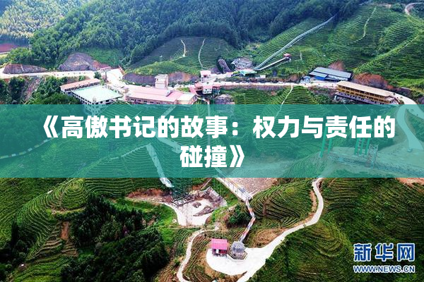 《高傲书记的故事：权力与责任的碰撞》