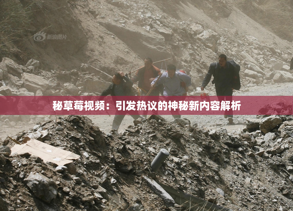 秘草莓视频：引发热议的神秘新内容解析