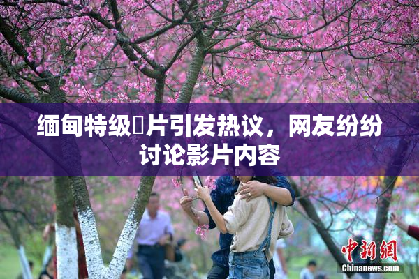 缅甸特级婬片引发热议，网友纷纷讨论影片内容