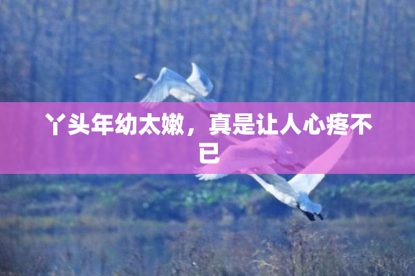 丫头年幼太嫩，真是让人心疼不已