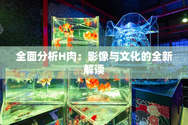 全面分析H肉：影像与文化的全新解读