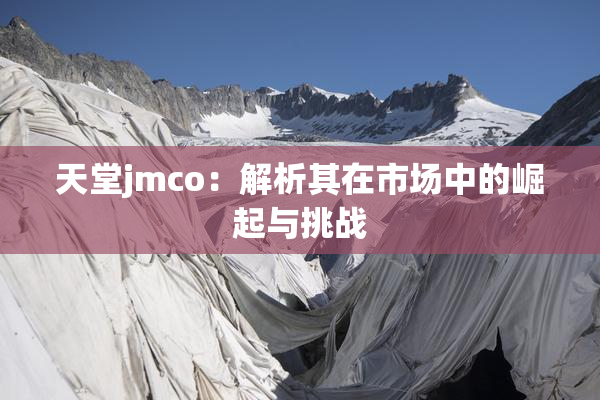 天堂jmco：解析其在市场中的崛起与挑战