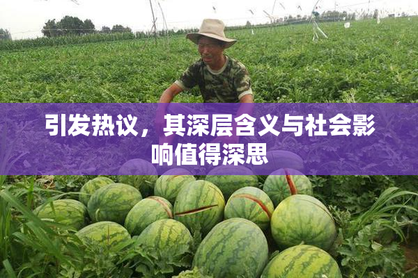 引发热议，其深层含义与社会影响值得深思