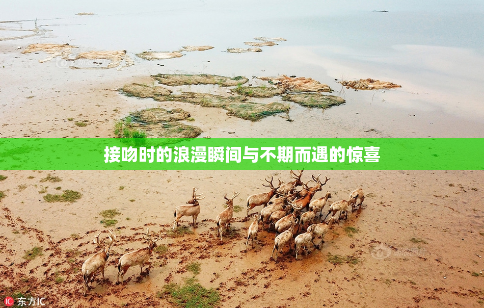 接吻时的浪漫瞬间与不期而遇的惊喜