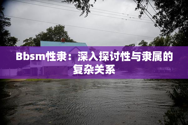 Bbsm性隶：深入探讨性与隶属的复杂关系