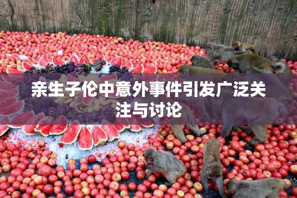 亲生子伦中意外事件引发广泛关注与讨论