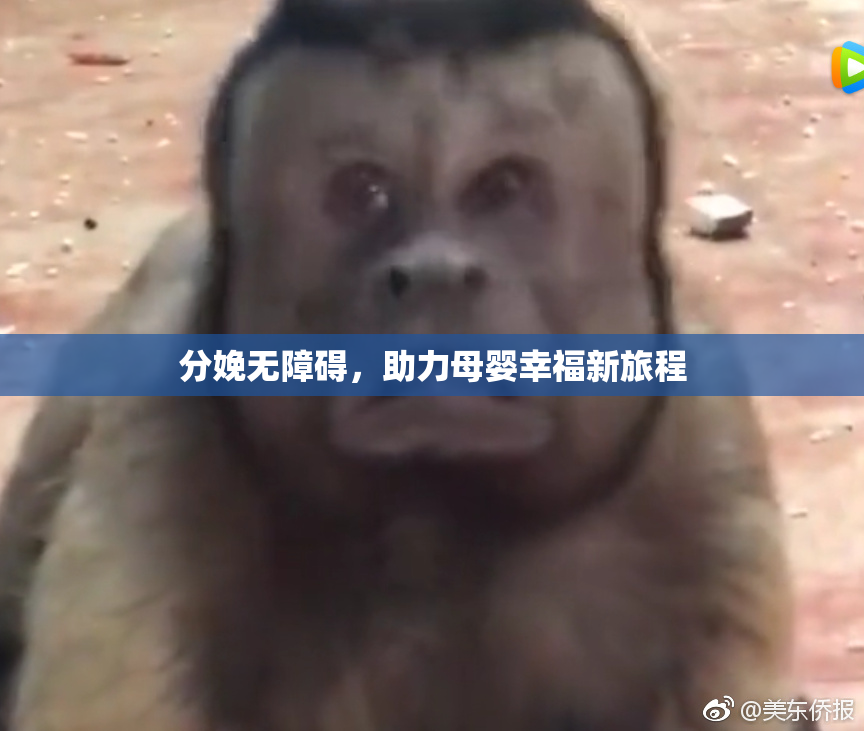 分娩无障碍，助力母婴幸福新旅程