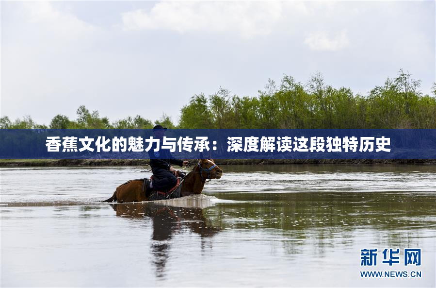 香蕉文化的魅力与传承：深度解读这段独特历史