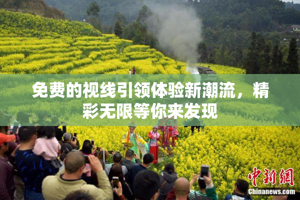 免费的视线引领体验新潮流，精彩无限等你来发现