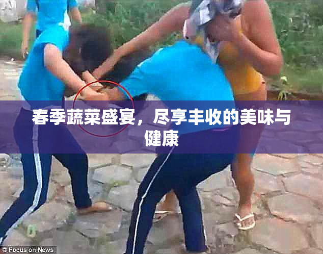 春季蔬菜盛宴，尽享丰收的美味与健康