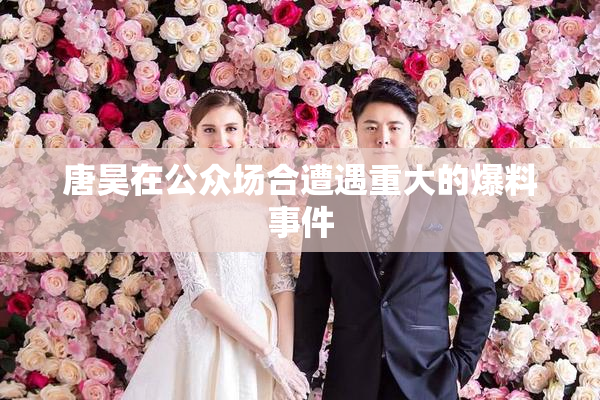 唐昊在公众场合遭遇重大的爆料事件