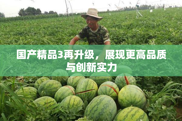 国产精品3再升级，展现更高品质与创新实力