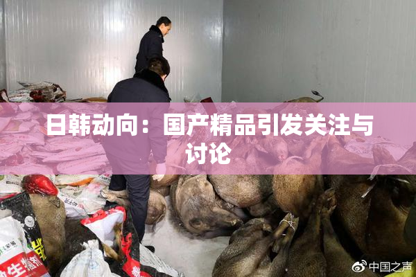 日韩动向：国产精品引发关注与讨论