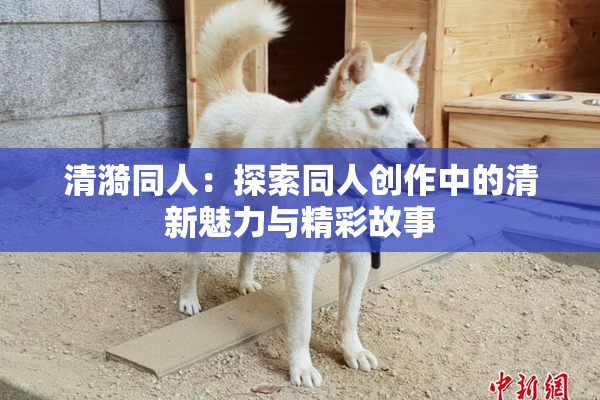 清漪同人：探索同人创作中的清新魅力与精彩故事