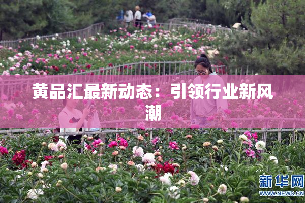 黄品汇最新动态：引领行业新风潮