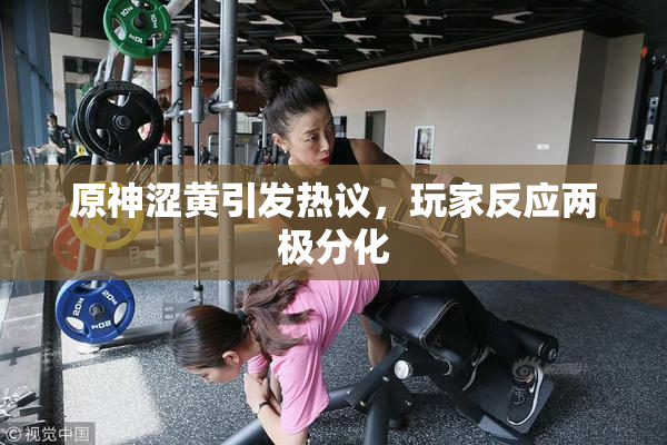 原神涩黄引发热议，玩家反应两极分化