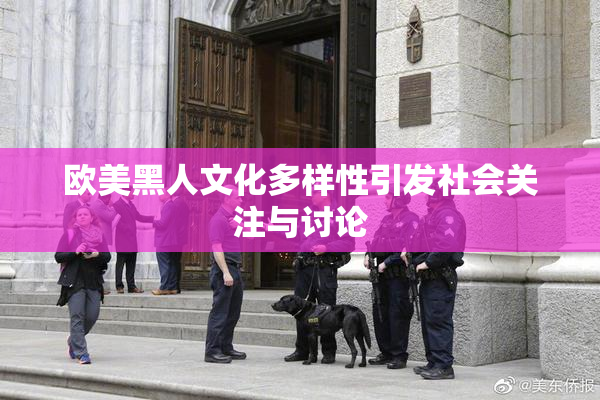 欧美黑人文化多样性引发社会关注与讨论