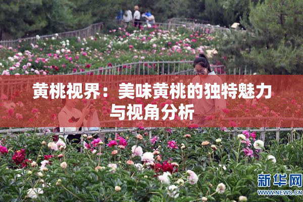 黄桃视界：美味黄桃的独特魅力与视角分析