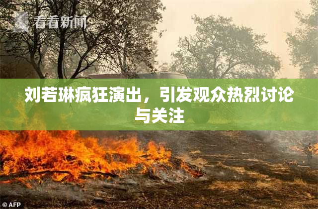 刘若琳疯狂演出，引发观众热烈讨论与关注