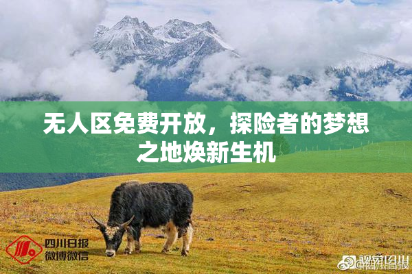 无人区免费开放，探险者的梦想之地焕新生机