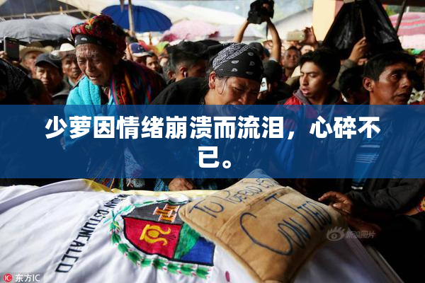 少萝因情绪崩溃而流泪，心碎不已。