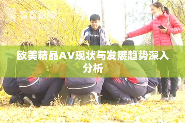 欧美精品AV现状与发展趋势深入分析