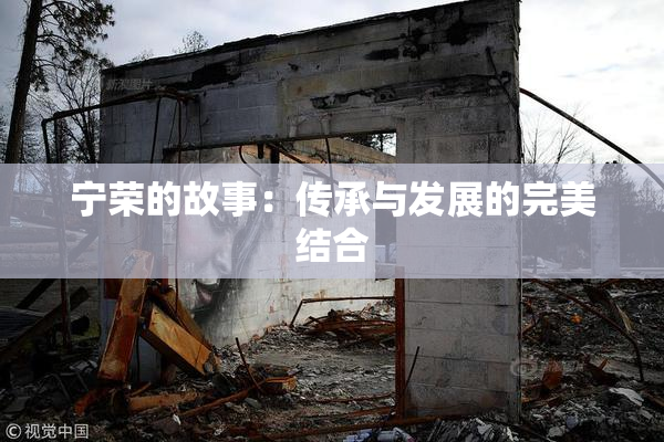 宁荣的故事：传承与发展的完美结合
