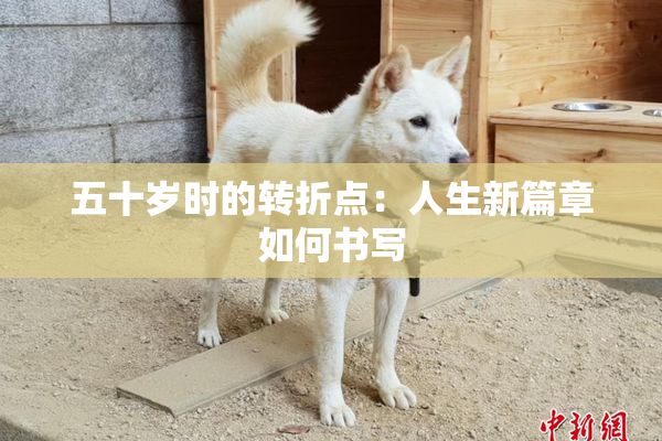 五十岁时的转折点：人生新篇章如何书写