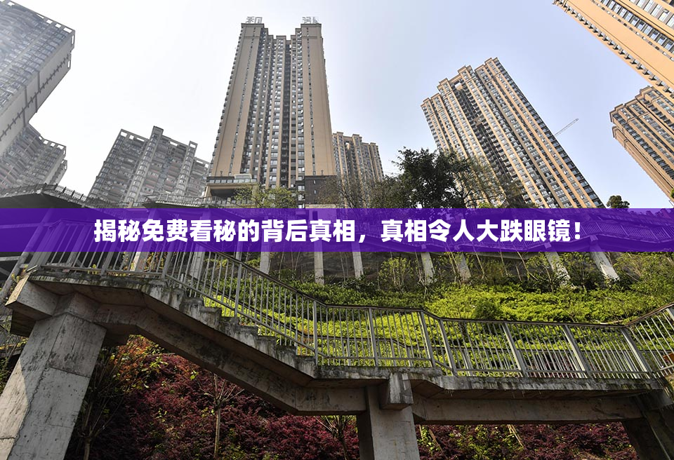 揭秘免费看秘的背后真相，真相令人大跌眼镜！