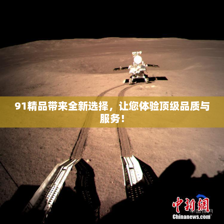 91精品带来全新选择，让您体验顶级品质与服务！