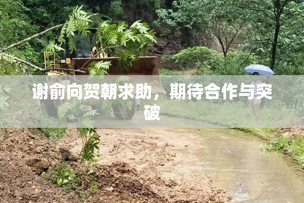 谢俞向贺朝求助，期待合作与突破