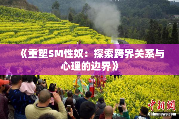 《重塑SM性奴：探索跨界关系与心理的边界》