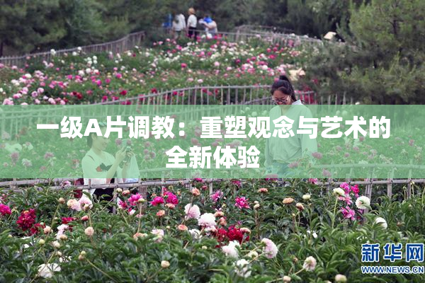 一级A片调教：重塑观念与艺术的全新体验