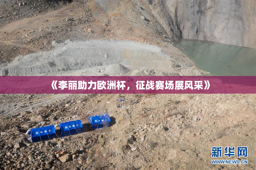 《李丽助力欧洲杯，征战赛场展风采》