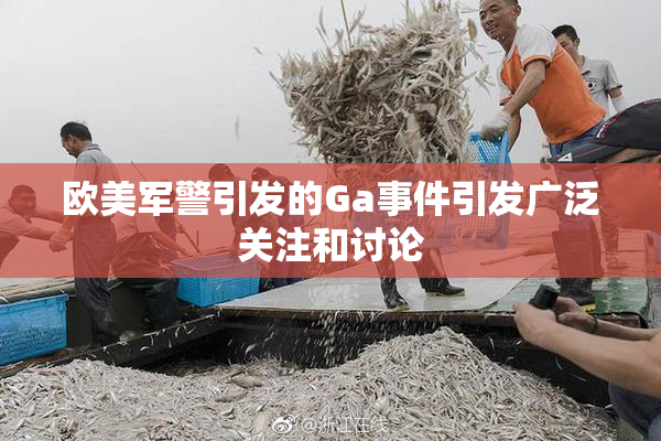 欧美军警引发的Ga事件引发广泛关注和讨论