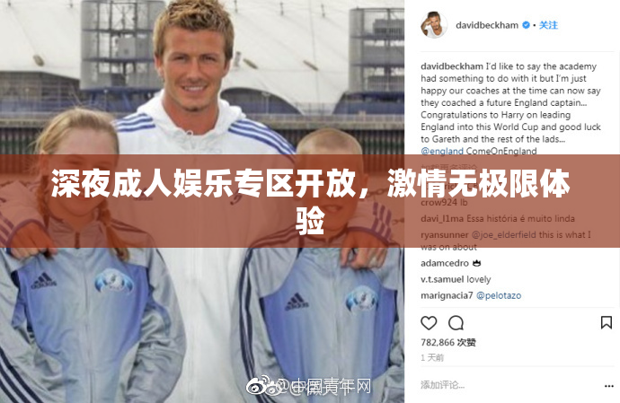 深夜成人娱乐专区开放，激情无极限体验