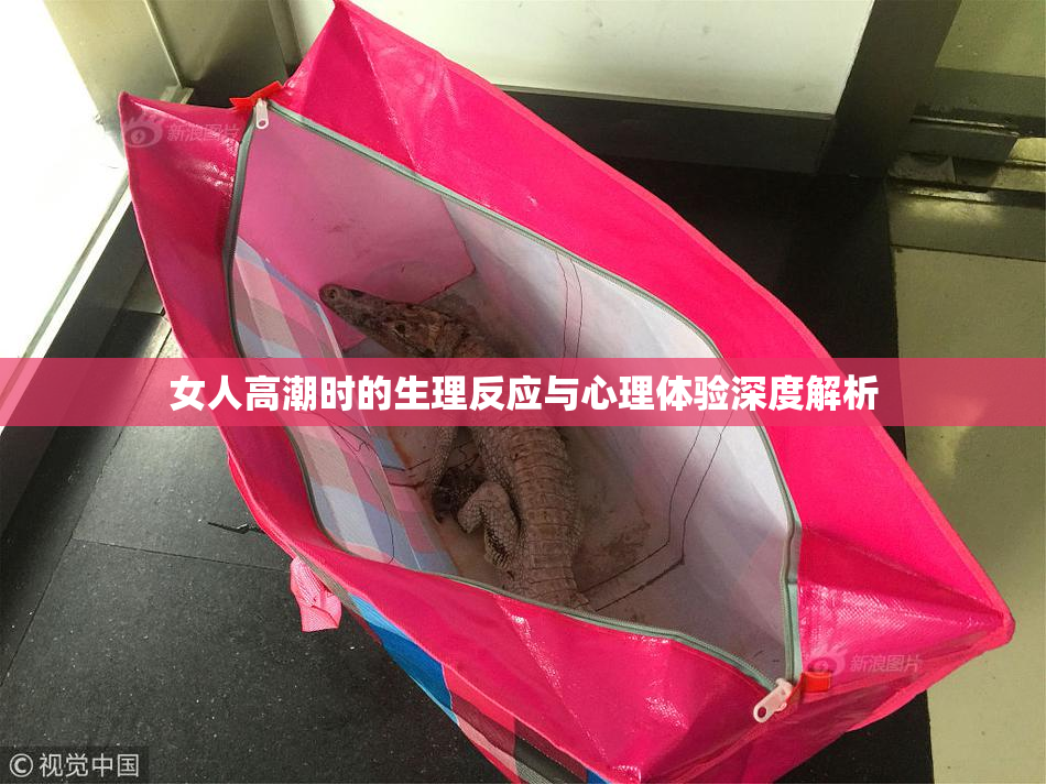 女人高潮时的生理反应与心理体验深度解析
