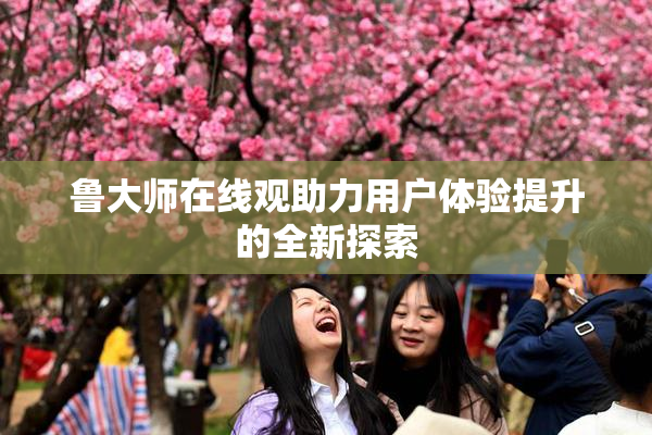 鲁大师在线观助力用户体验提升的全新探索