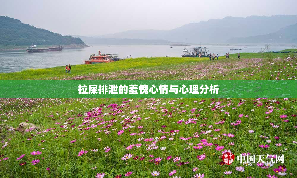 拉屎排泄的羞愧心情与心理分析