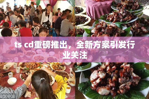 ts cd重磅推出，全新方案引发行业关注