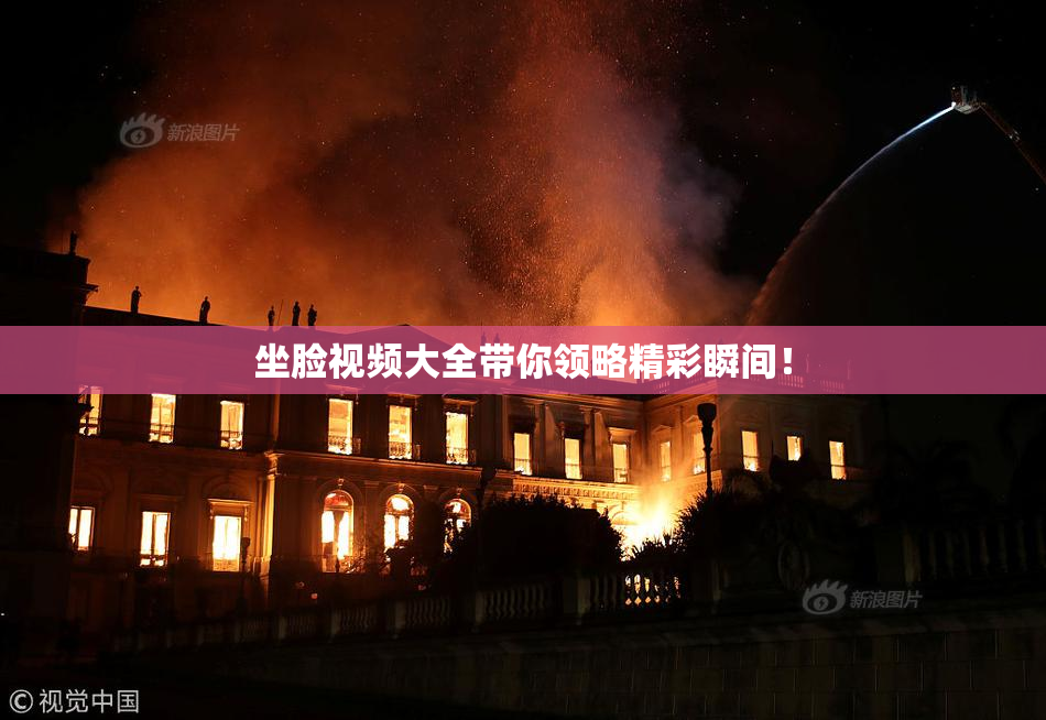 坐脸视频大全带你领略精彩瞬间！